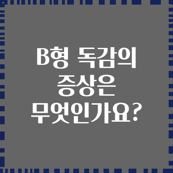 B형 독감의 증상은 무엇인가요?