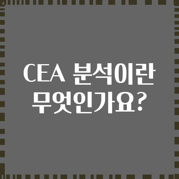 CEA 분석이란 무엇인가요?