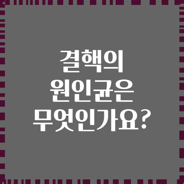 결핵의 원인균은 무엇인가요?