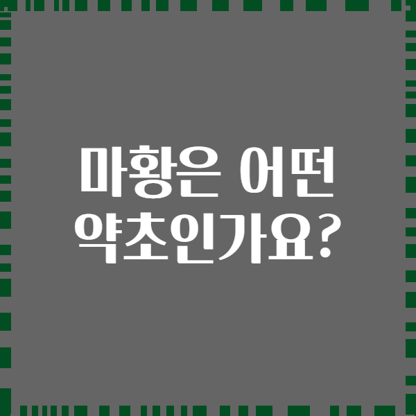 마황은 어떤 약초인가요?
