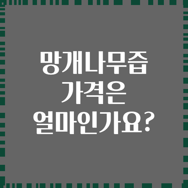 망개나무즙 가격은 얼마인가요?