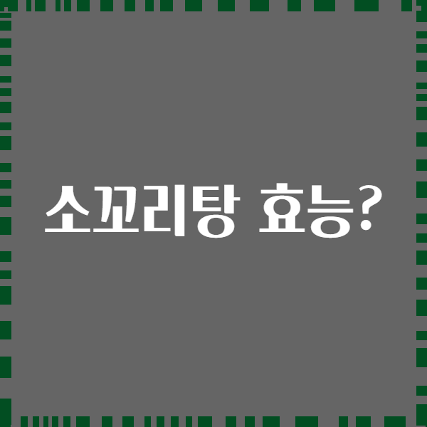 소꼬리탕 효능?