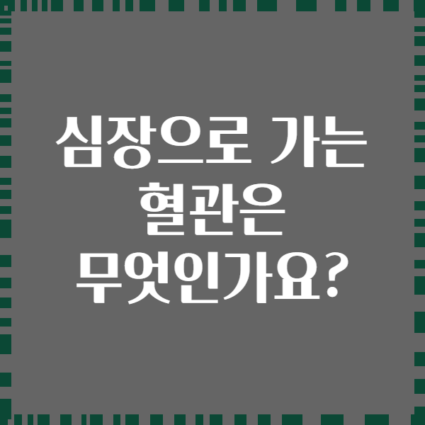 심장으로 가는 혈관은 무엇인가요?