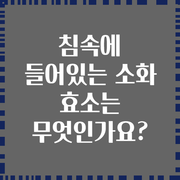 침속에 들어있는 소화 효소는 무엇인가요?