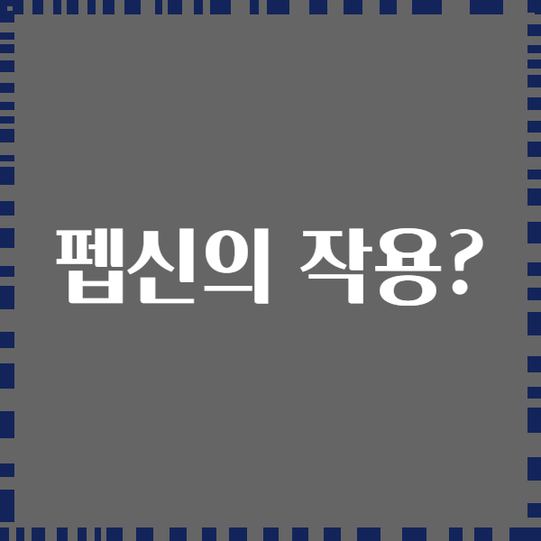 펩신의 작용?