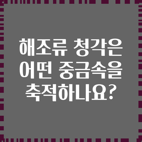 해조류 청각은 어떤 중금속을 축적하나요?