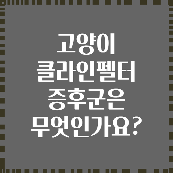 고양이 클라인펠터 증후군은 무엇인가요?