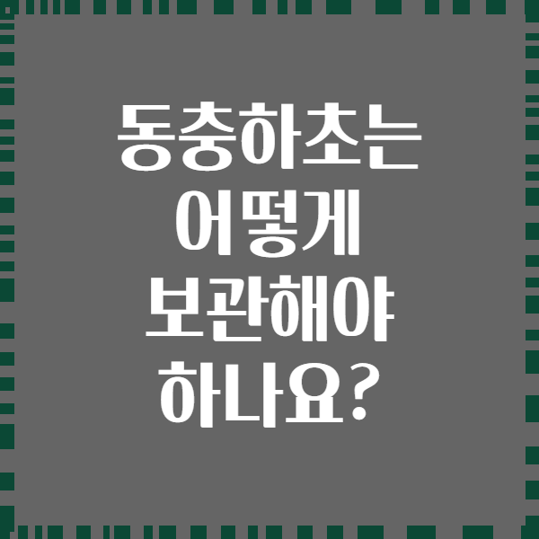 동충하초는 어떻게 보관해야 하나요?