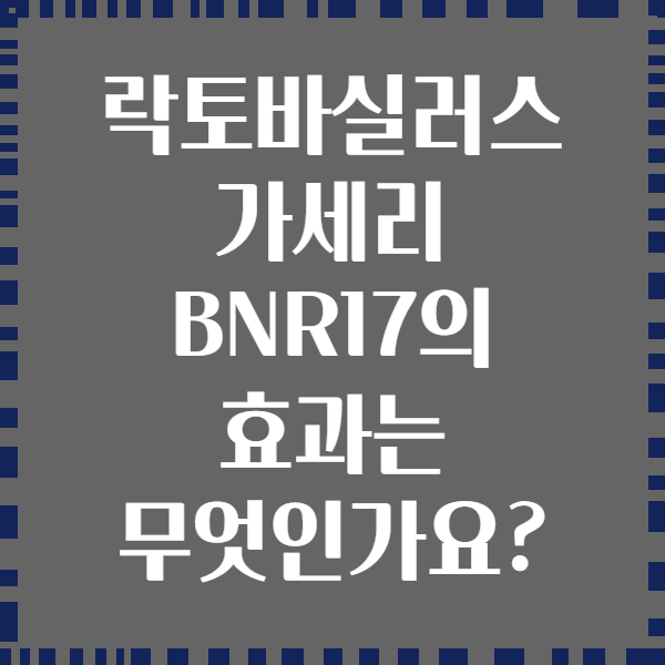 락토바실러스 가세리 BNR17의 효과는 무엇인가요?