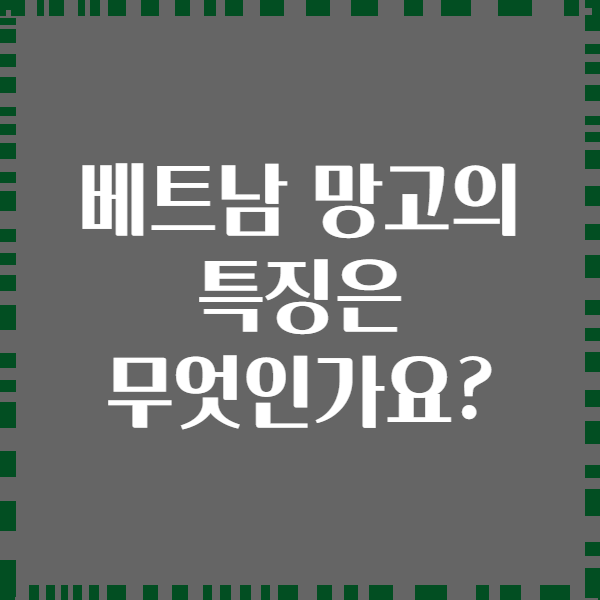베트남 망고의 특징은 무엇인가요?