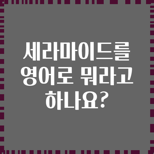 세라마이드를 영어로 뭐라고 하나요?