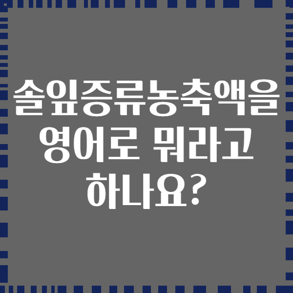 솔잎증류농축액을 영어로 뭐라고 하나요?