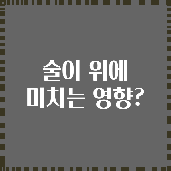 술이 위에 미치는 영향?