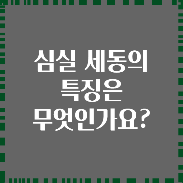 심실 세동의 특징은 무엇인가요?