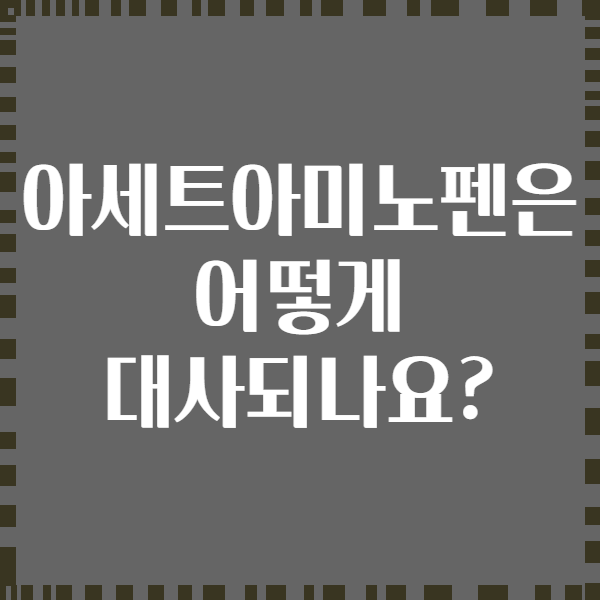 아세트아미노펜은 어떻게 대사되나요?
