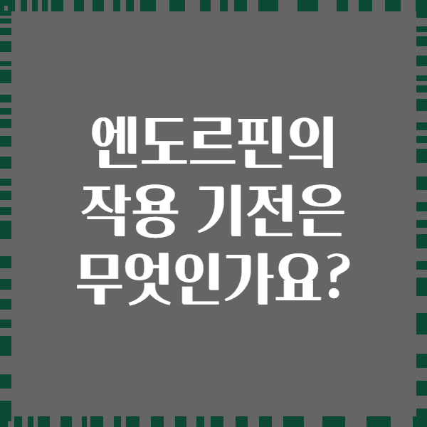 엔도르핀의 작용 기전은 무엇인가요?