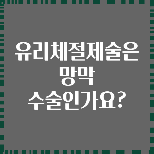 유리체절제술은 망막 수술인가요?