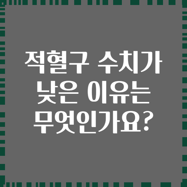 적혈구 수치가 낮은 이유는 무엇인가요?