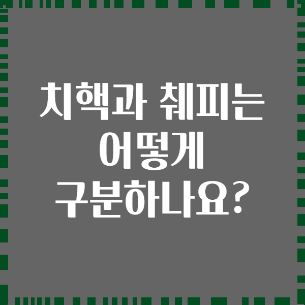 치핵과 췌피는 어떻게 구분하나요?