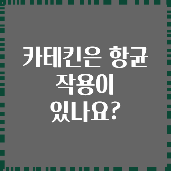 카테킨은 항균 작용이 있나요?