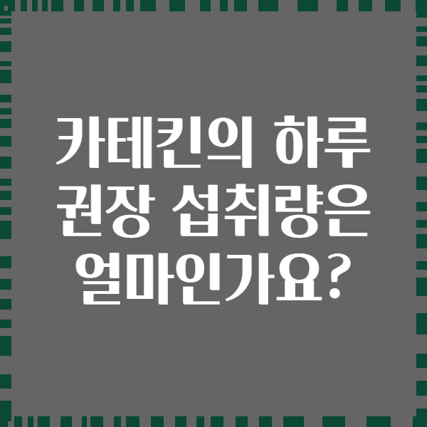 카테킨의 하루 권장 섭취량은 얼마인가요?