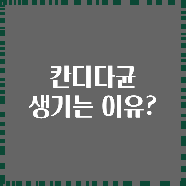 칸디다균 생기는 이유?
