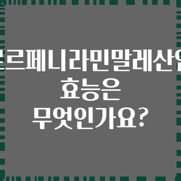 클로르페니라민말레산염의 효능은 무엇인가요?
