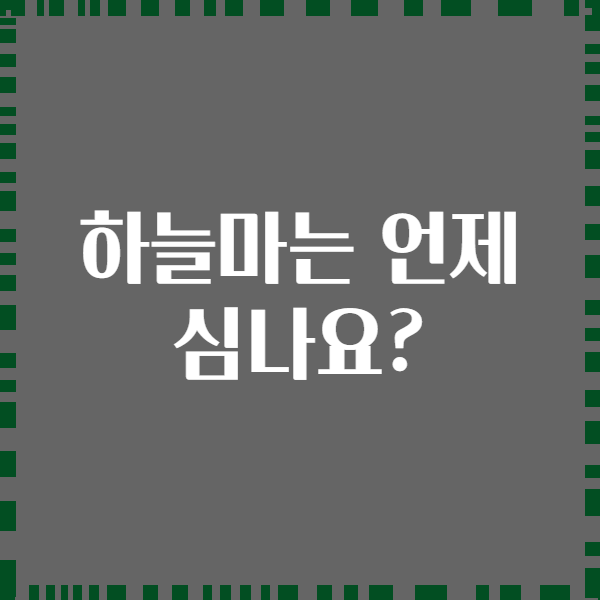 하늘마는 언제 심나요?