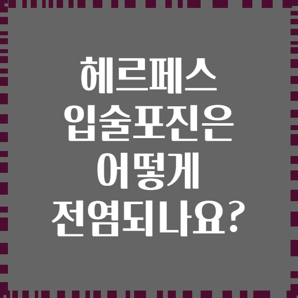 헤르페스 입술포진은 어떻게 전염되나요?