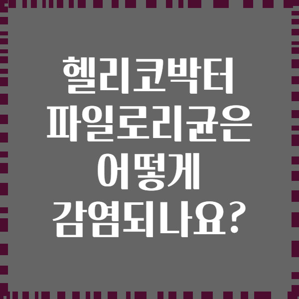 헬리코박터 파일로리균은 어떻게 감염되나요?