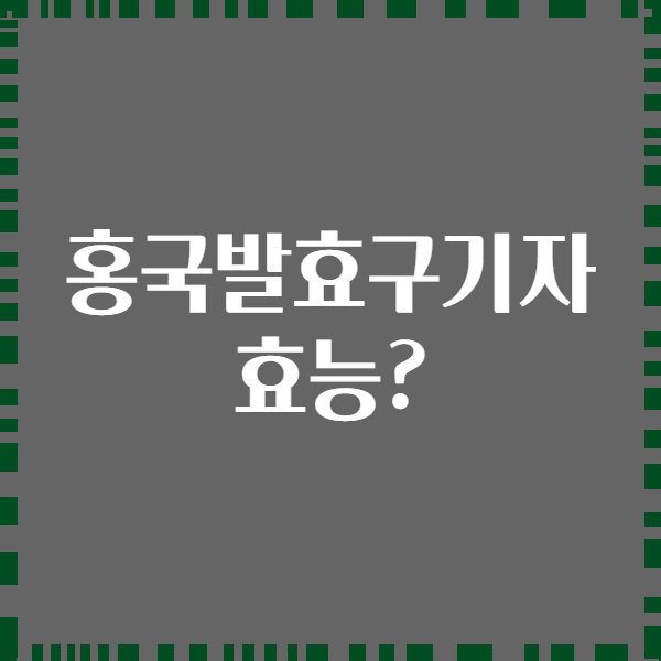 홍국발효구기자 효능?