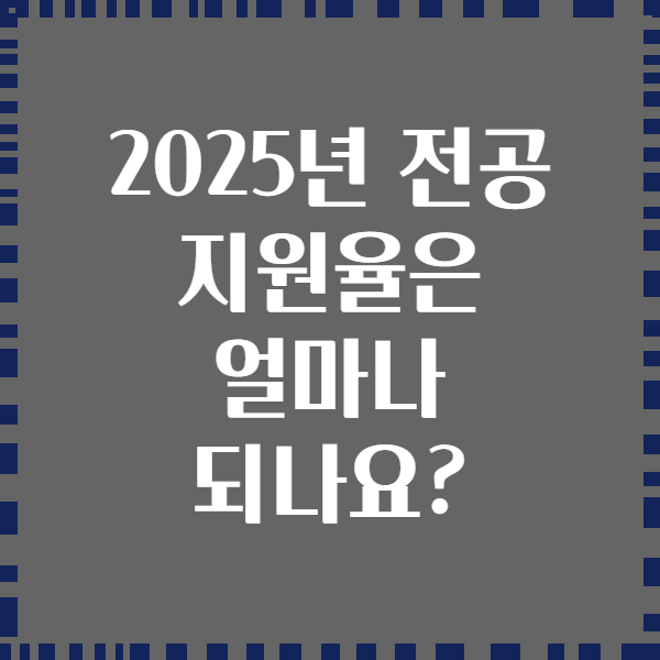 2025년 전공 지원율은 얼마나 되나요?