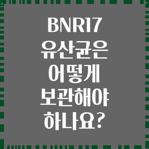 BNR17 유산균은 어떻게 보관해야 하나요?