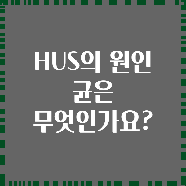 HUS의 원인 균은 무엇인가요?