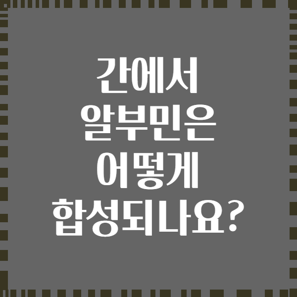 간에서 알부민은 어떻게 합성되나요?