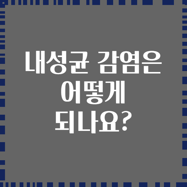 내성균 감염은 어떻게 되나요?