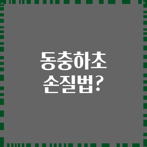 동충하초 손질법?