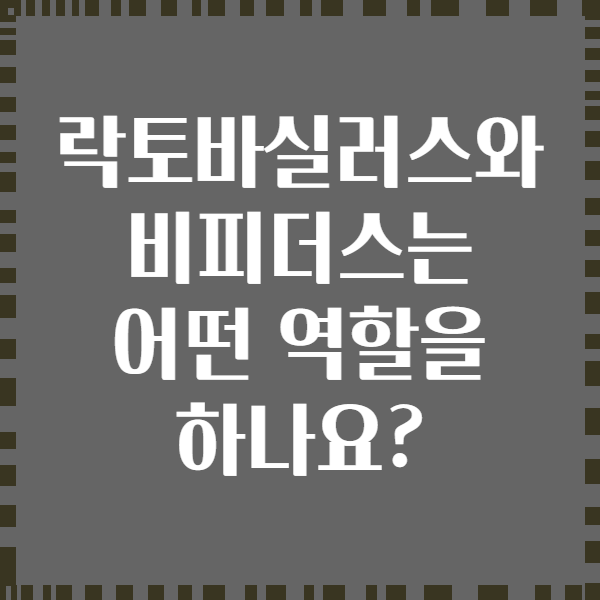 락토바실러스와 비피더스는 어떤 역할을 하나요?