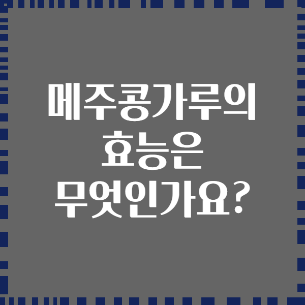 메주콩가루의 효능은 무엇인가요?