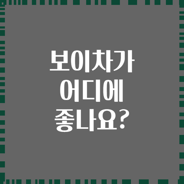 보이차가 어디에 좋나요?