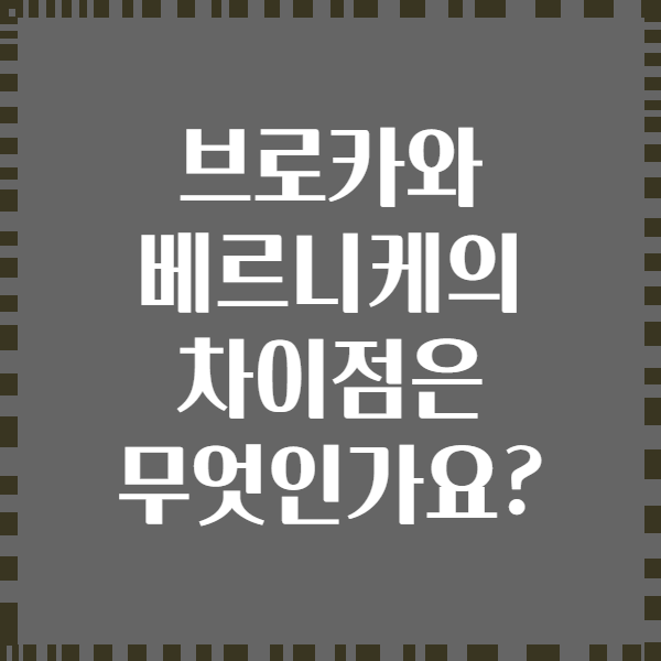 브로카와 베르니케의 차이점은 무엇인가요?
