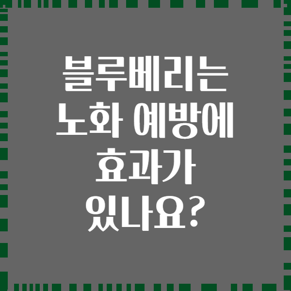 블루베리는 노화 예방에 효과가 있나요?