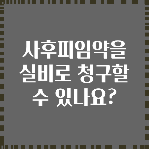 사후피임약을 실비로 청구할 수 있나요?