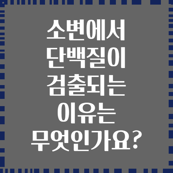 소변에서 단백질이 검출되는 이유는 무엇인가요?