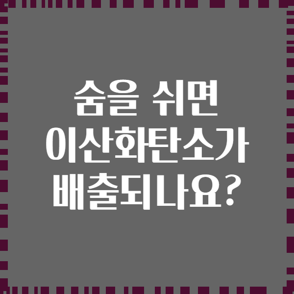 숨을 쉬면 이산화탄소가 배출되나요?