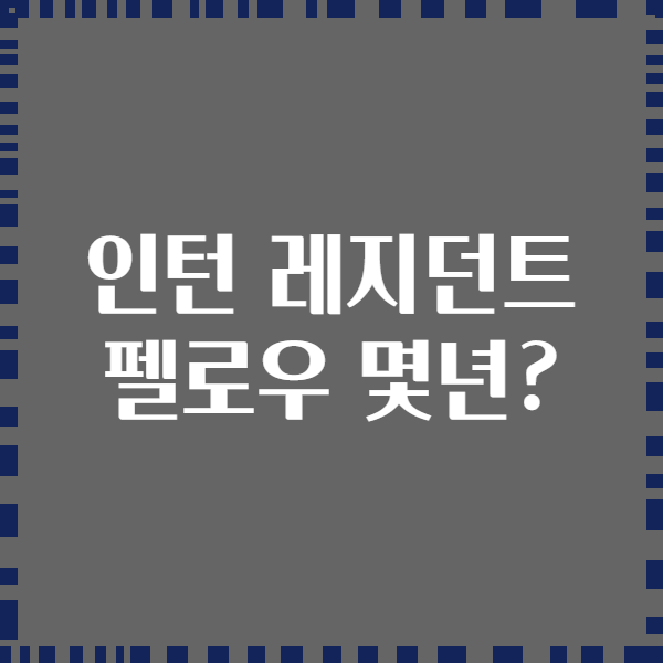 인턴 레지던트 펠로우 몇년?