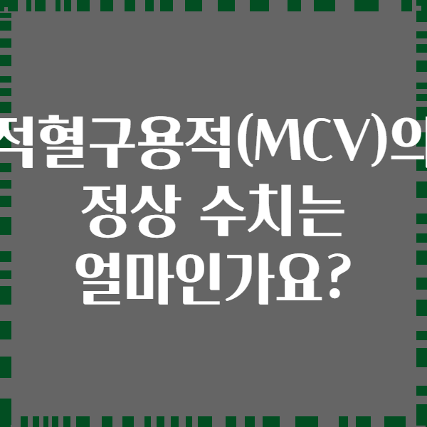 적혈구용적(MCV)의 정상 수치는 얼마인가요?