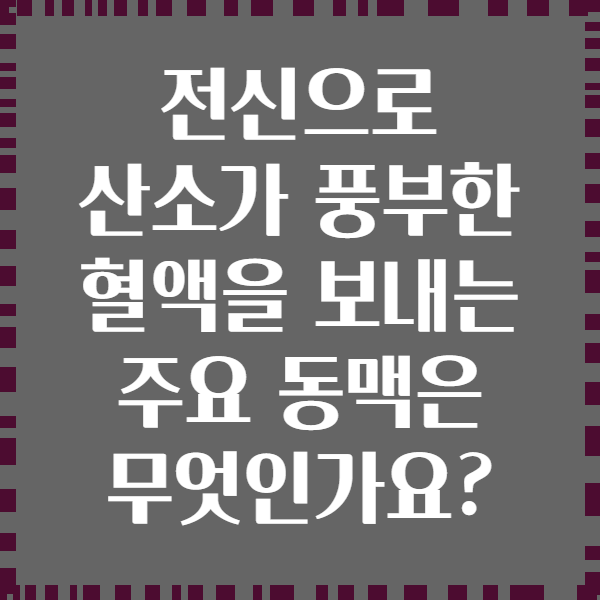 전신으로 산소가 풍부한 혈액을 보내는 주요 동맥은 무엇인가요?
