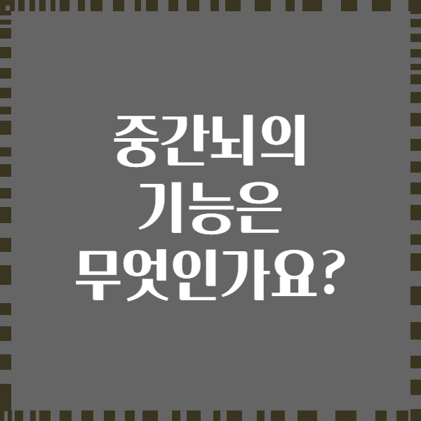 중간뇌의 기능은 무엇인가요?