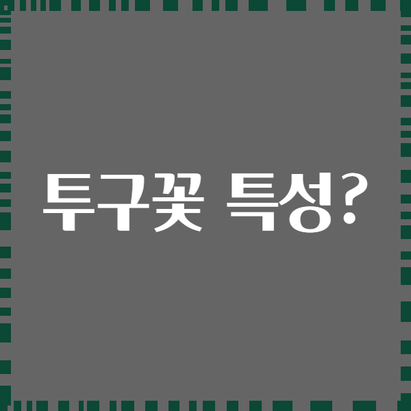 투구꽃 특성?